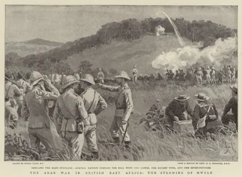 Den arabiske krig i det britiske østafrika, stormen af Mwele